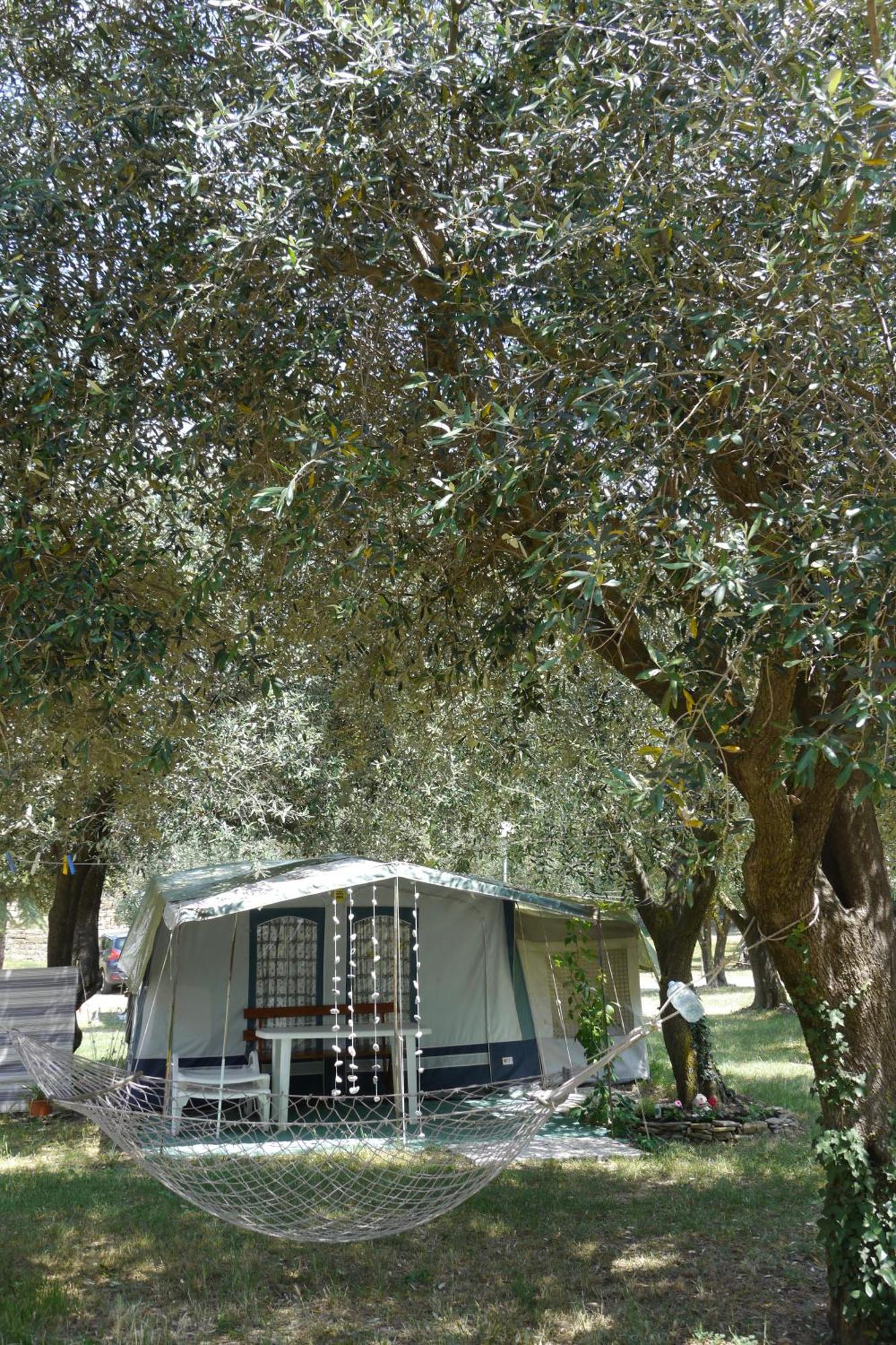 Camping Adria Ankaran - Pitches Kültér fotó